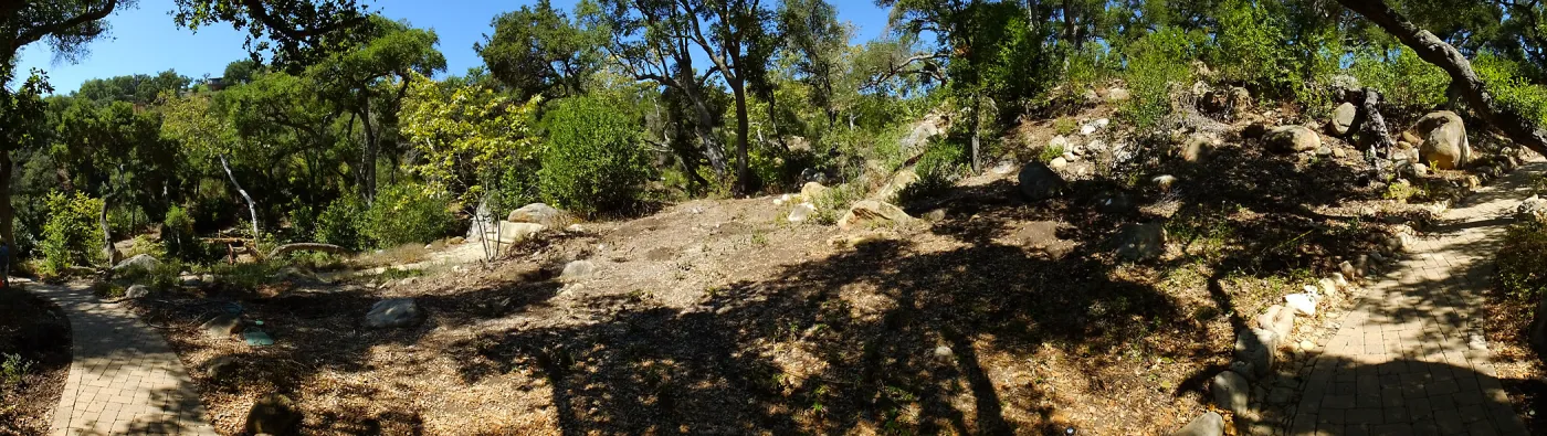 Wooded Dell site preparation panorama