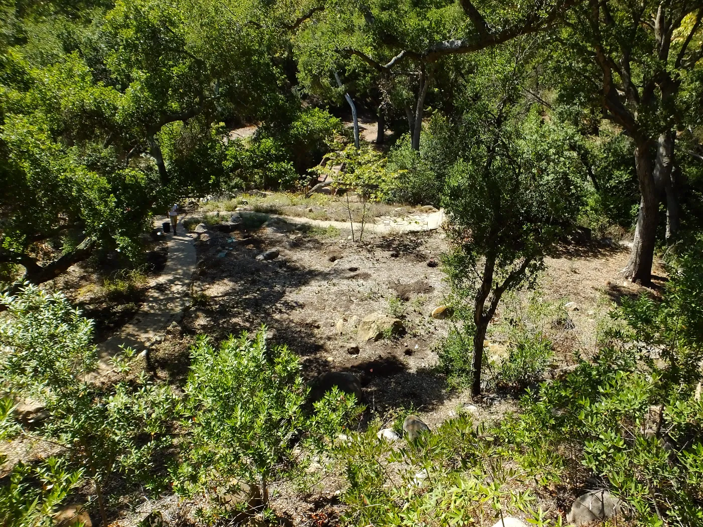 Wooded Dell site preparation, view from picnic area