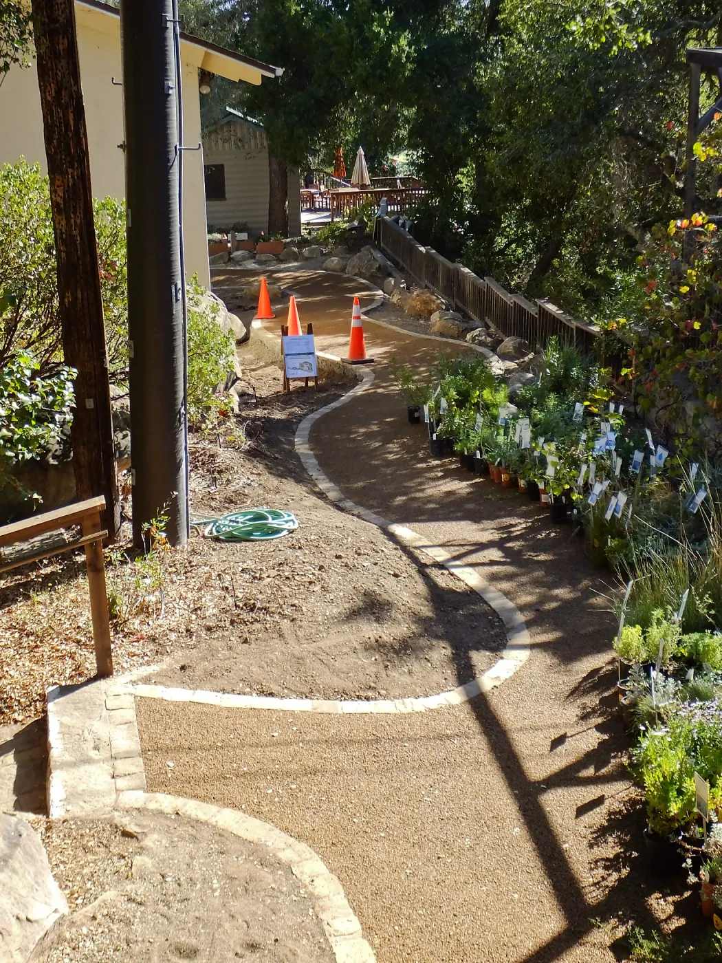 Home Demonstration Garden Renovation, view 33, looking south along path west of Herbarium