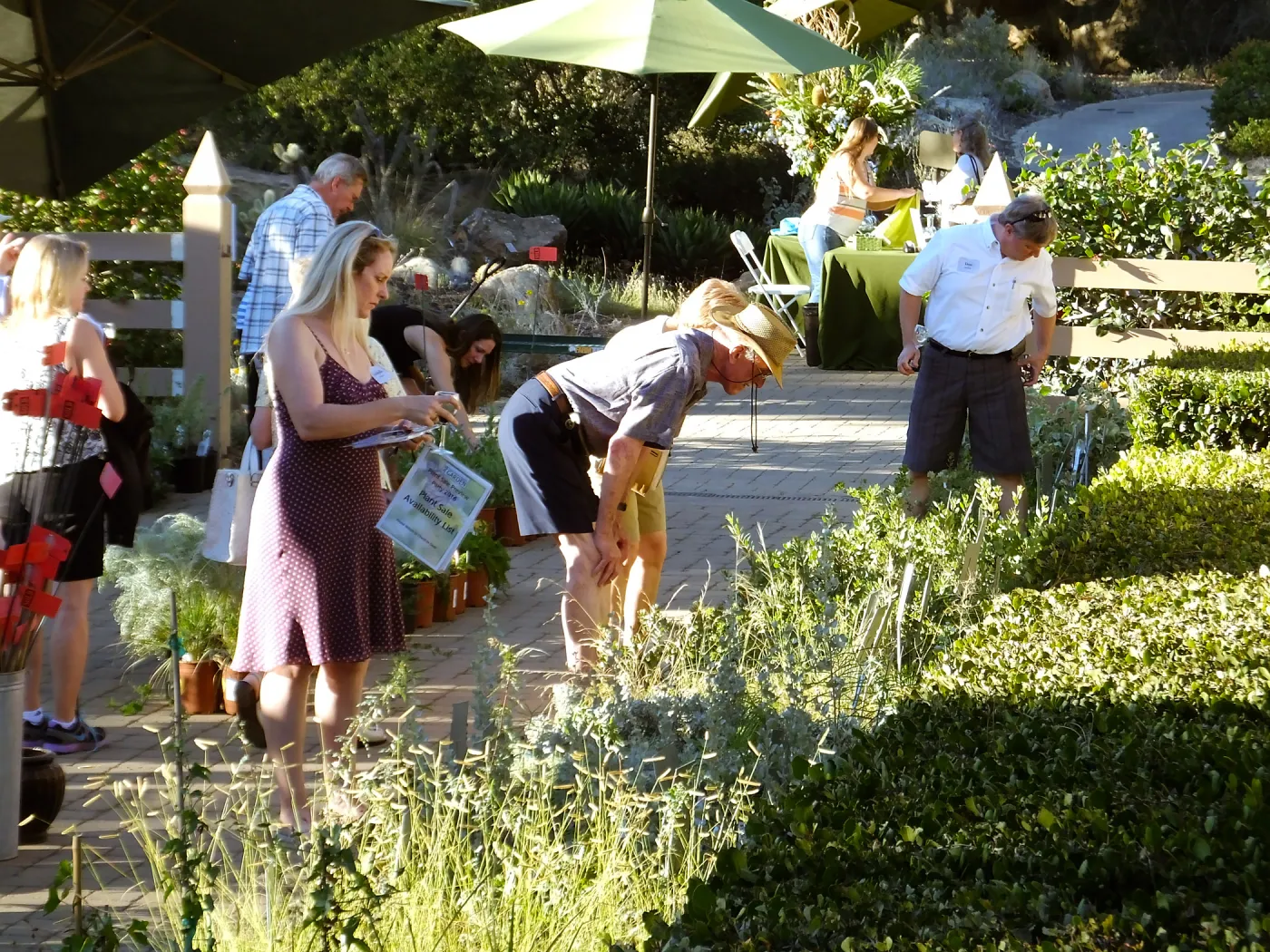 Fall Plant Sale 2015 Members Preview Party