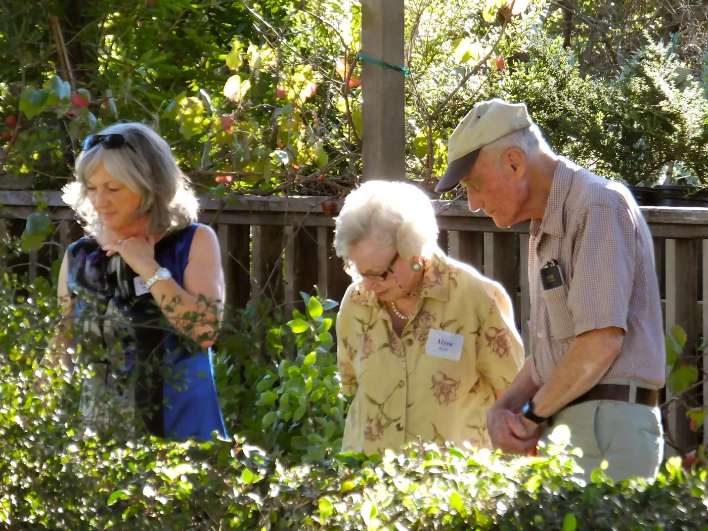 Fall Plant Sale 2015 Members Preview Party