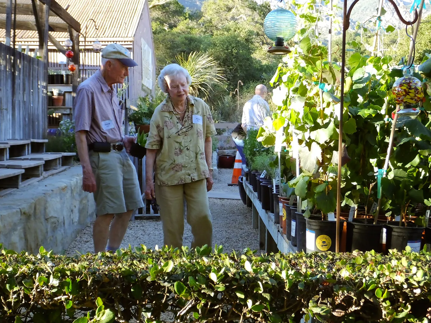 Fall Plant Sale 2015 Members Preview Party