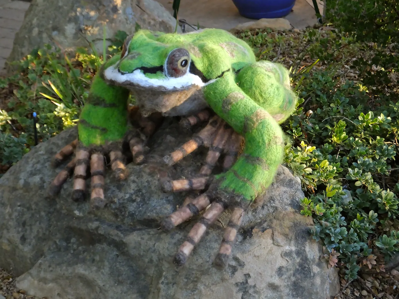 Dormant Dreams Yarn Blast, Fred - the Pacific Chorus Frog