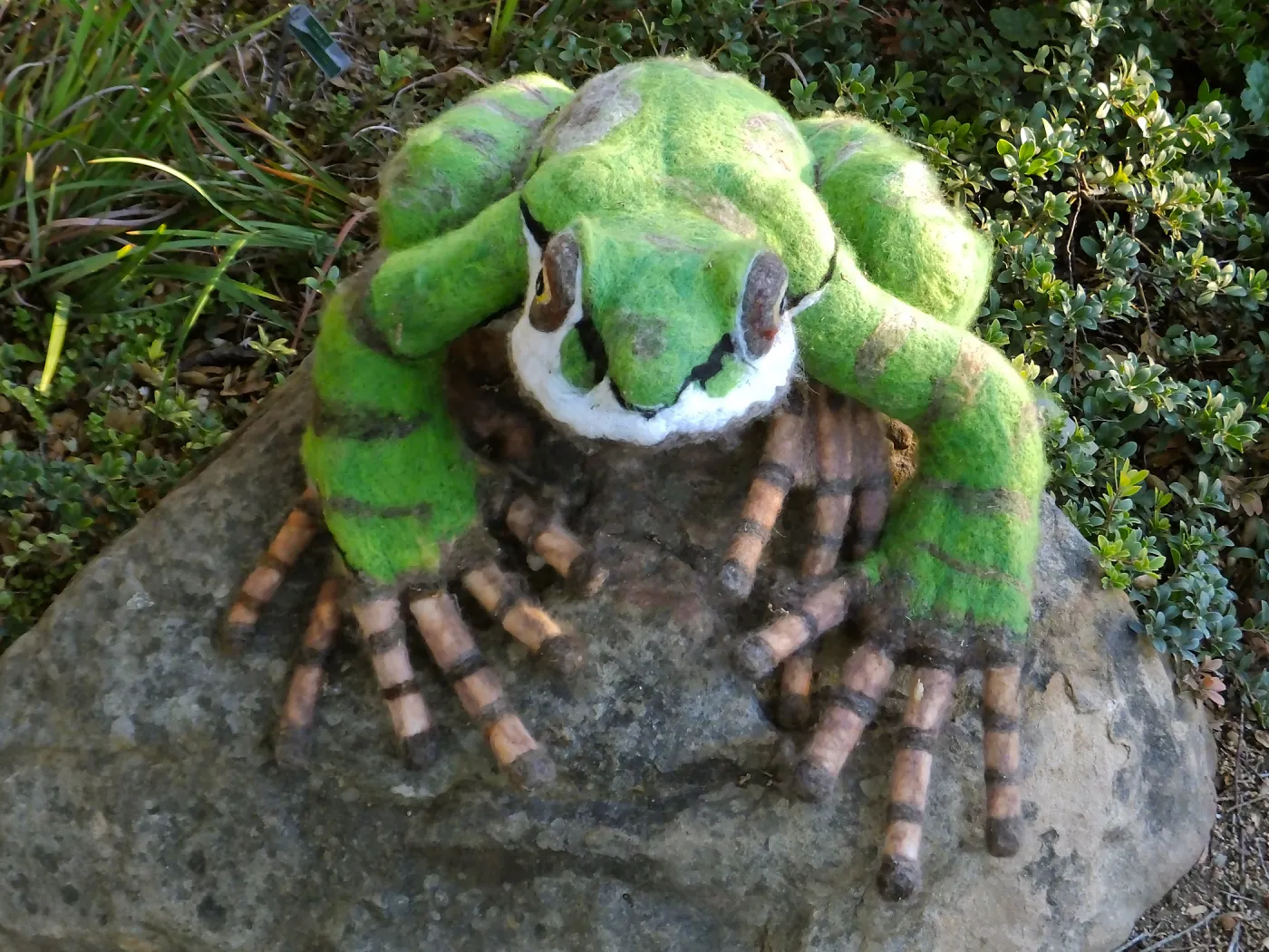 Dormant Dreams Yarn Blast, Fred - the Pacific Chorus Frog