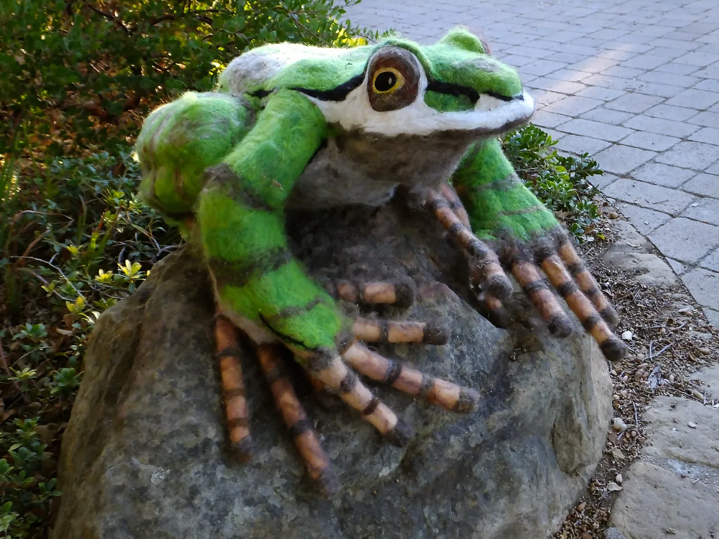 Dormant Dreams Yarn Blast, Fred - the Pacific Chorus Frog