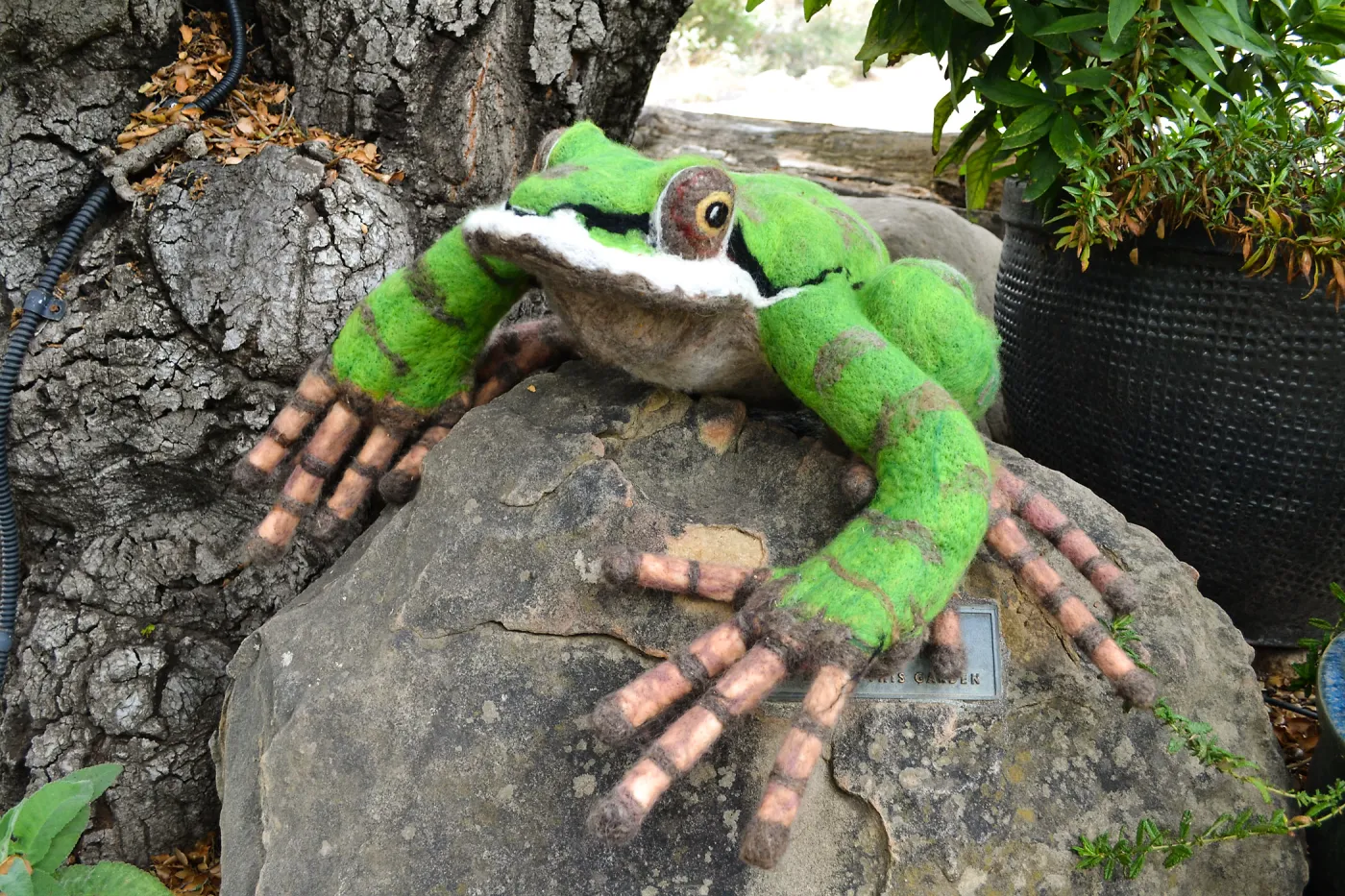 Dormant Dreams Yarn Blast, Fred the Pacific Chorus Frog