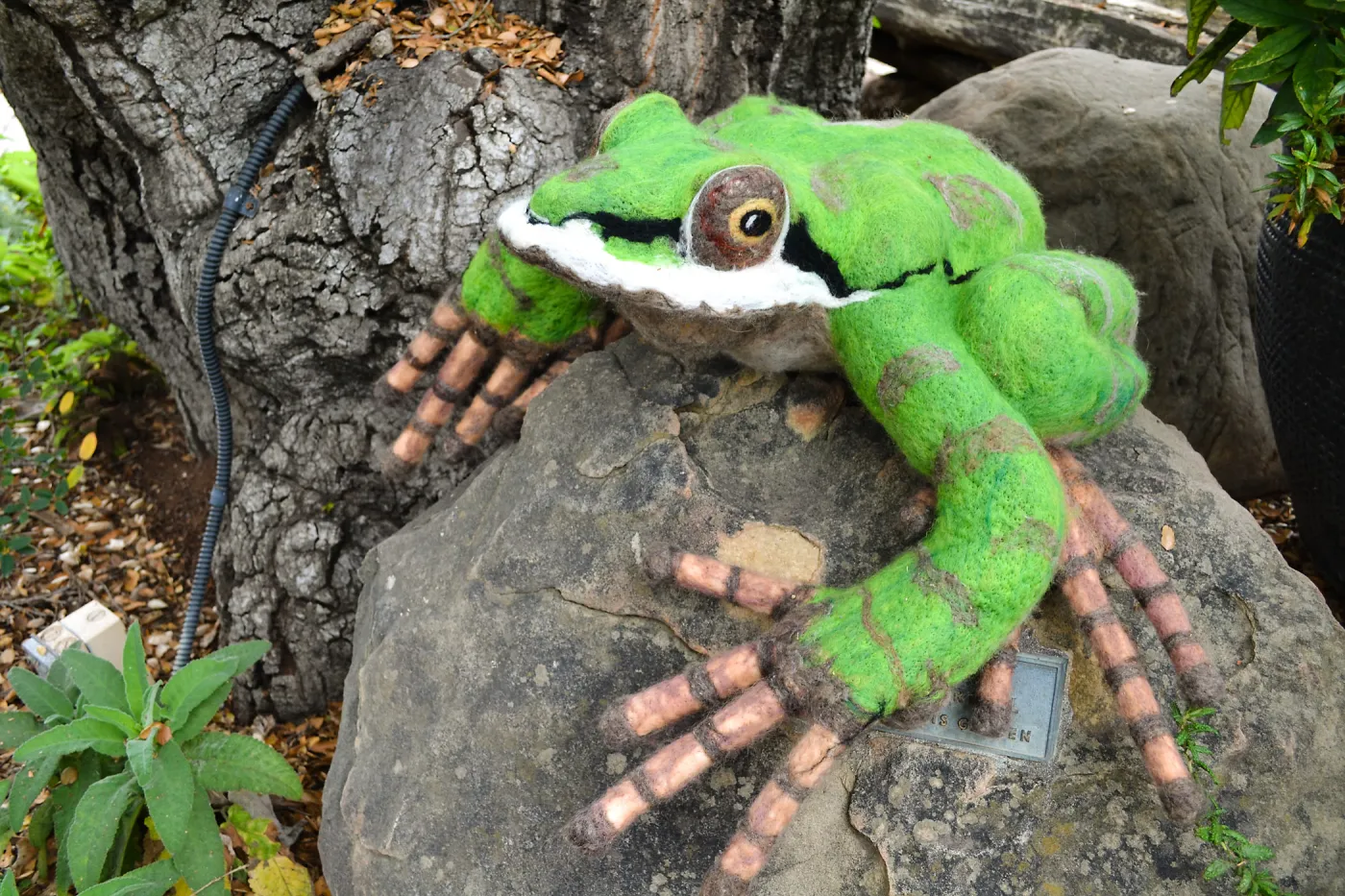 Dormant Dreams Yarn Blast, Fred the Pacific Chorus Frog