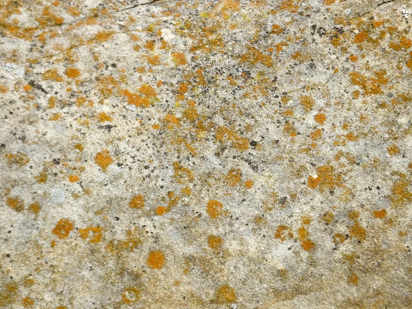Sandstone texture