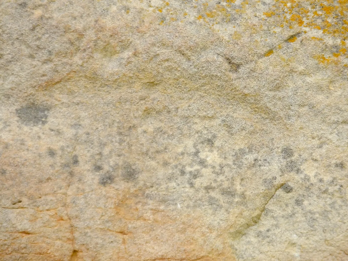 Sandstone texture