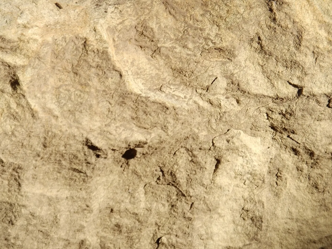Sandstone texture
