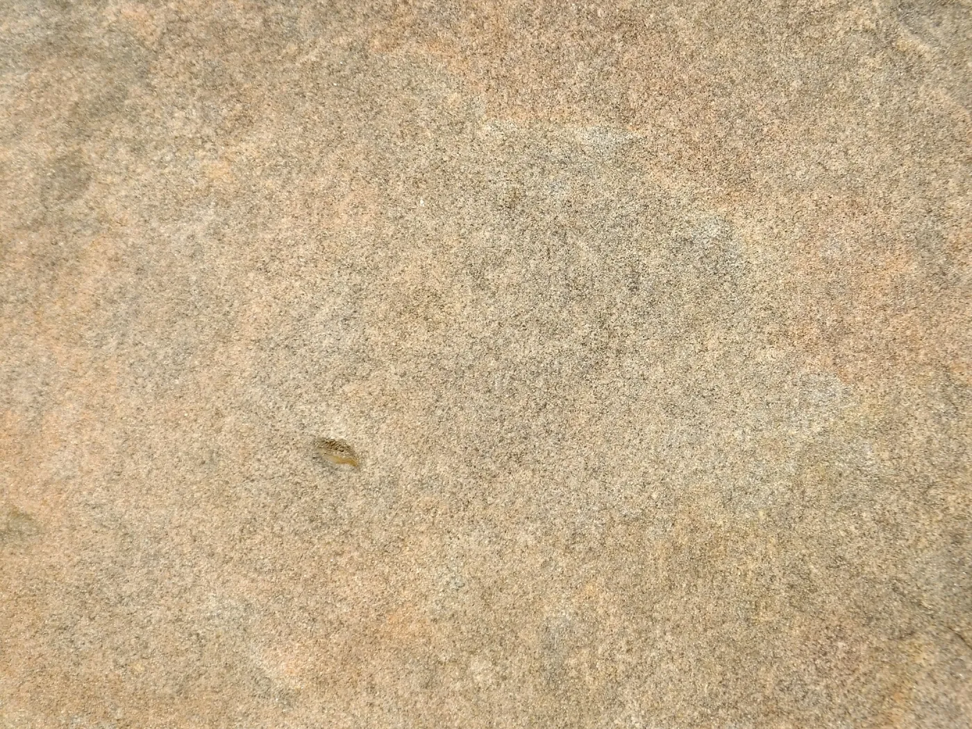 Sandstone texture