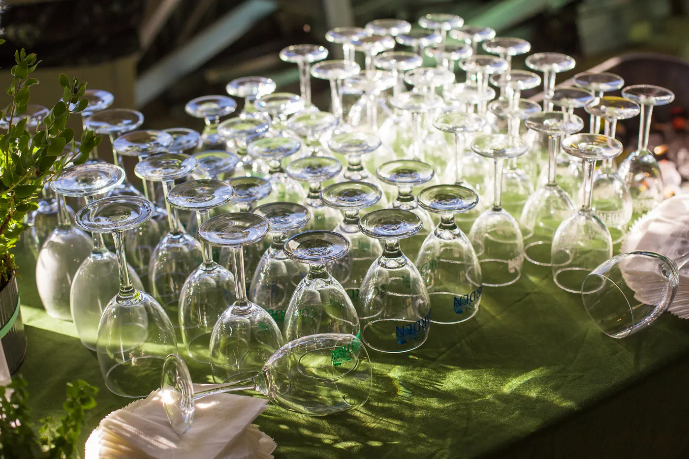 Pritzlaff Conservation Center, Wishes in the Walls event