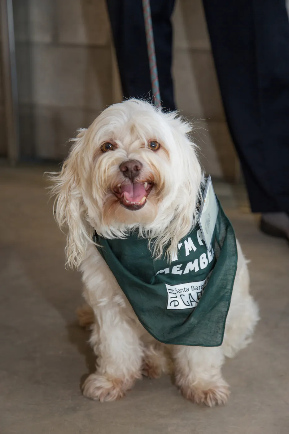 Pritzlaff Conservation Center, Wishes in the Walls event