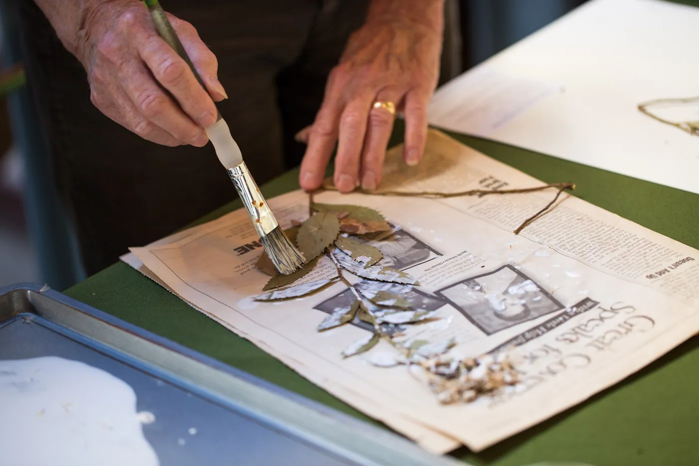 Pritzlaff Conservation Center, Wishes in the Walls event, Herbarium specimen mounting
