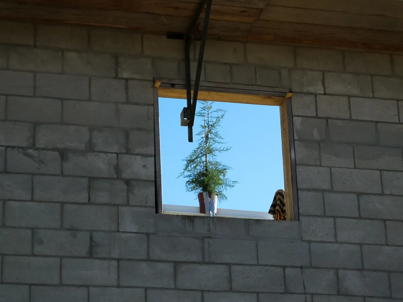 Pritzlaff Conservation Center Construction, Topping Off