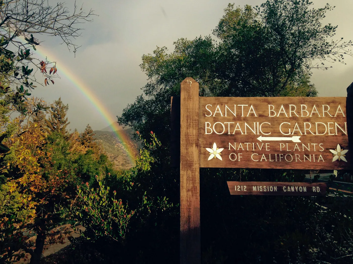 Rainbow in the Garden
