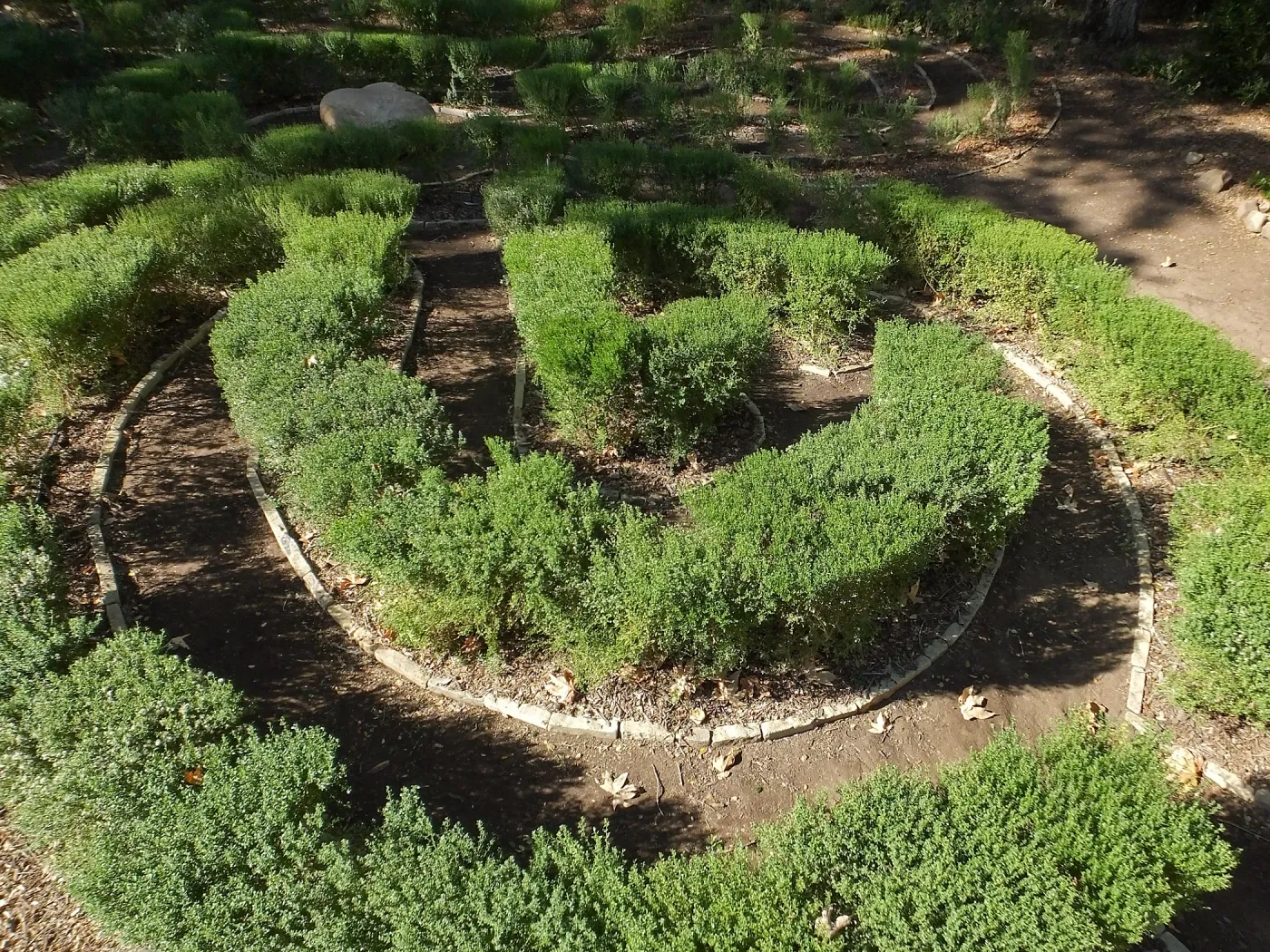 Centennial Maze