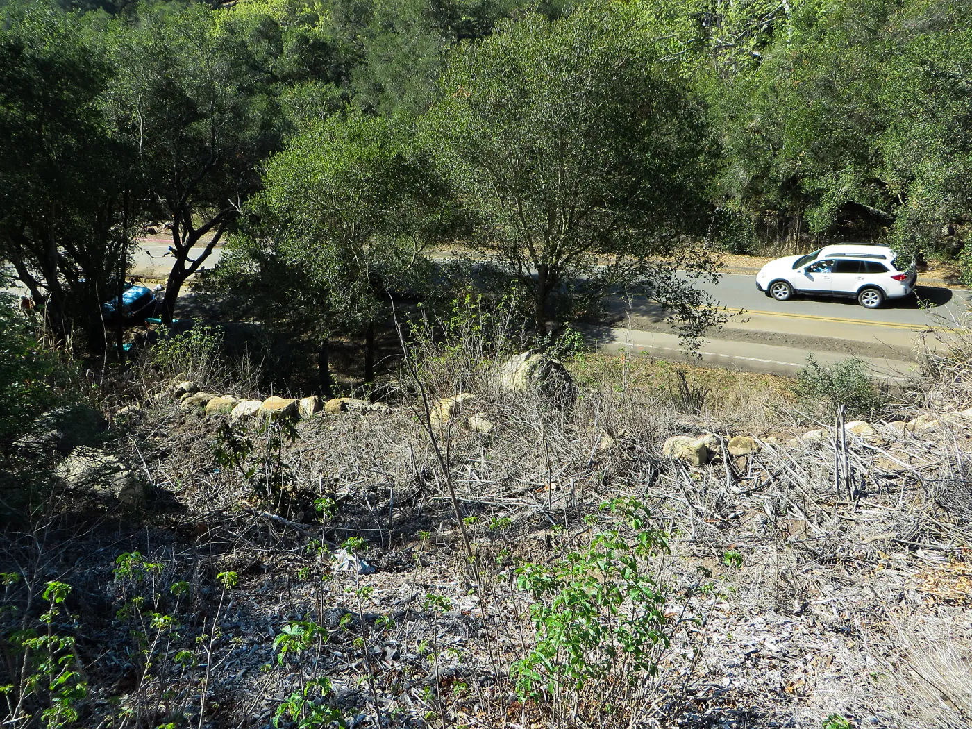 Slope above Mission Cyn Rd