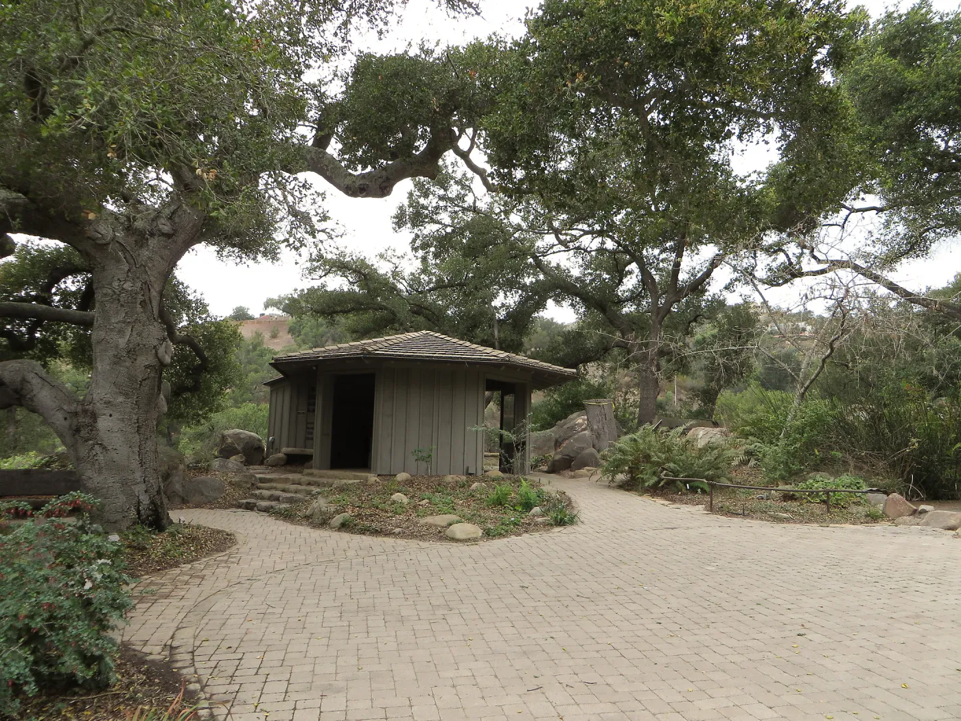 Lockwood de Forest Kiosk, after oak removal