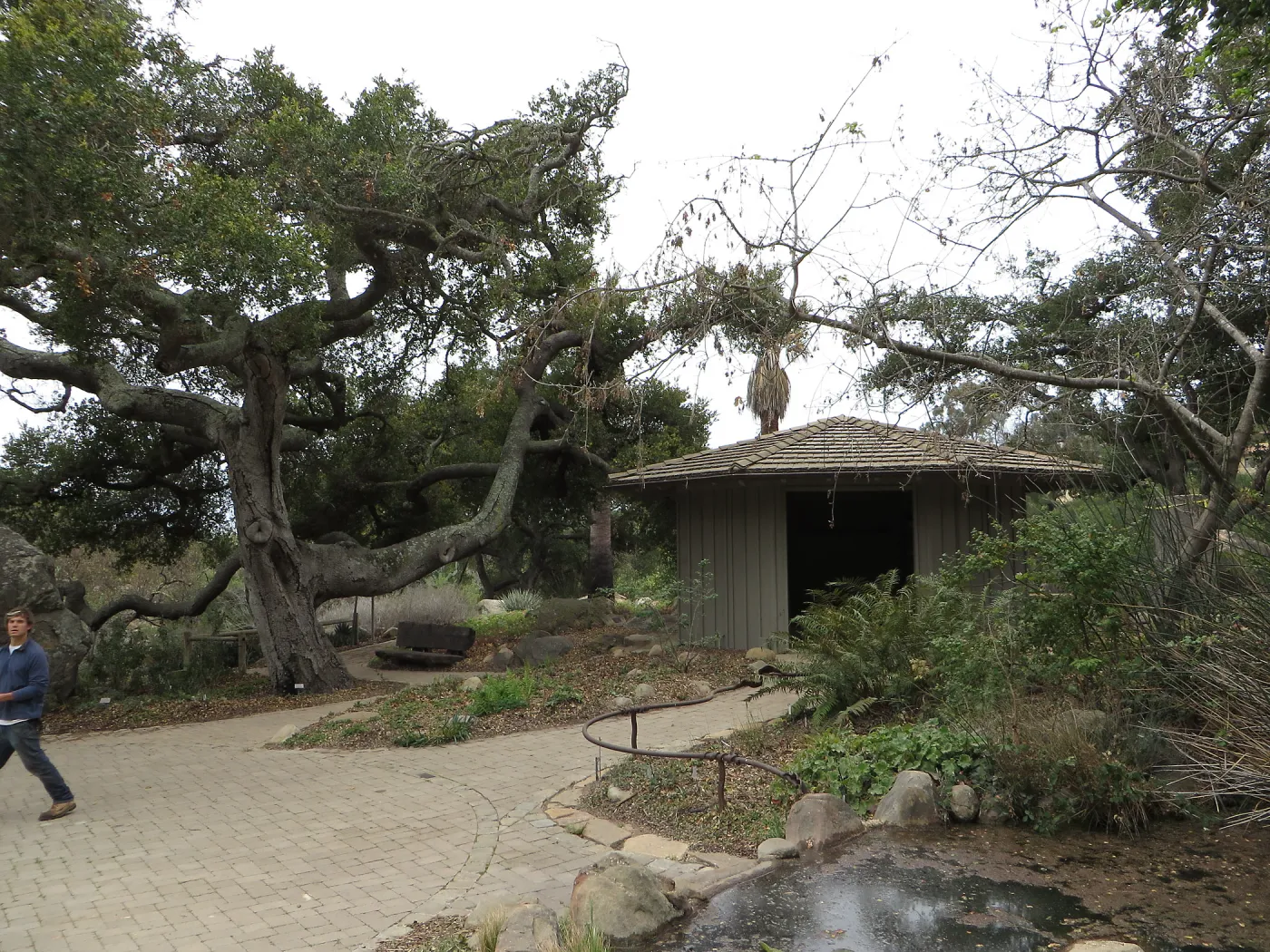 Lockwood de Forest Kiosk