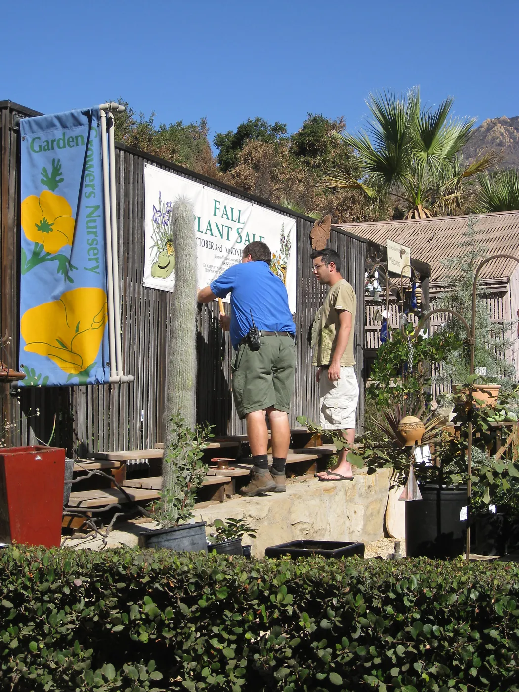 2009 Fall Plant Sale set-up, Andrew Wyatt