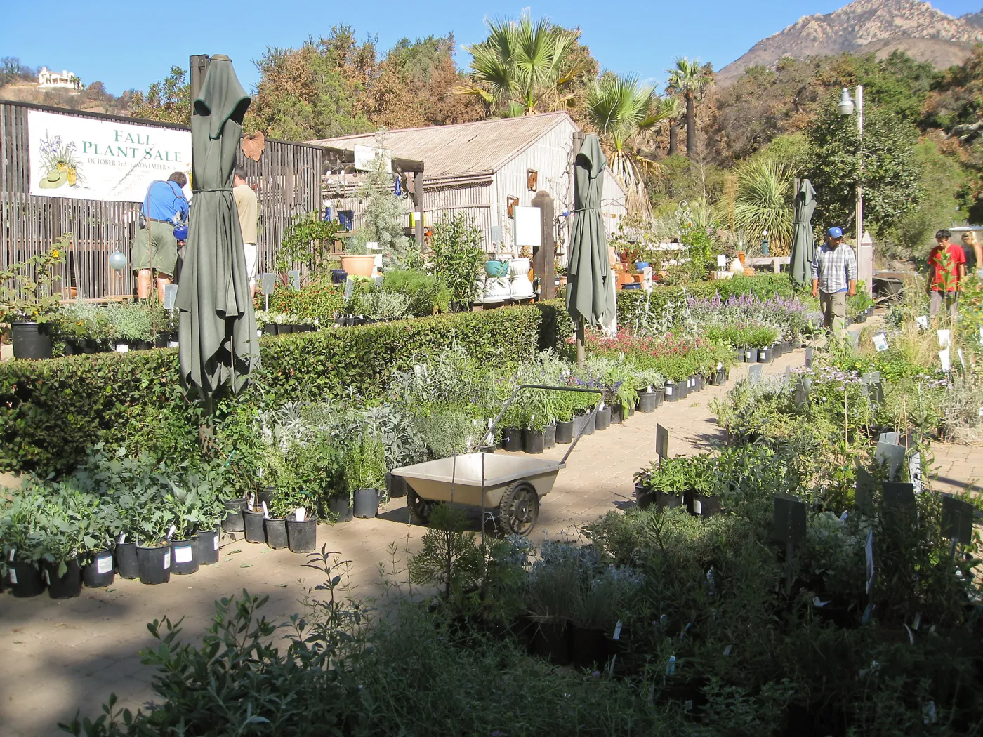 2009 Fall Plant Sale set-up