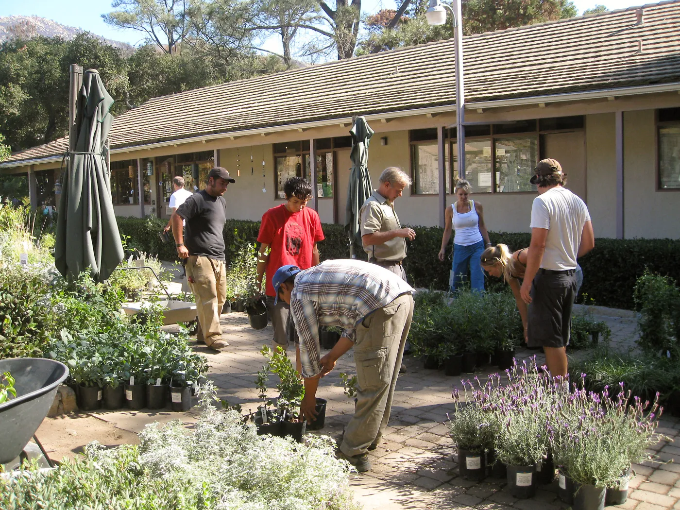2009 Fall Plant Sale set-up