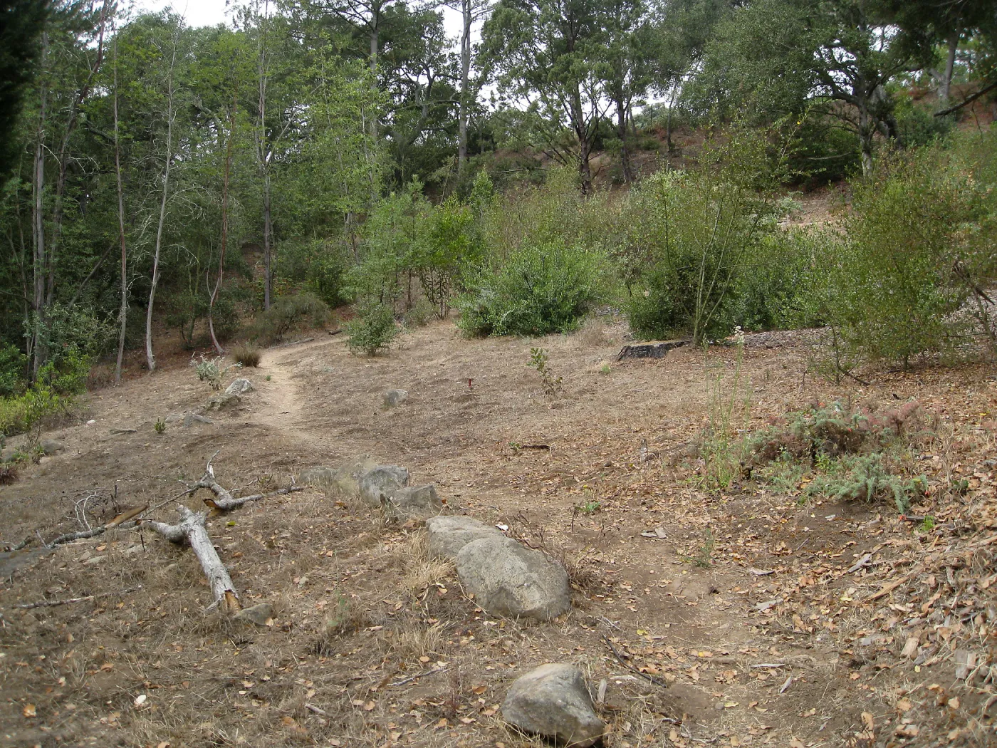 Old Island Section