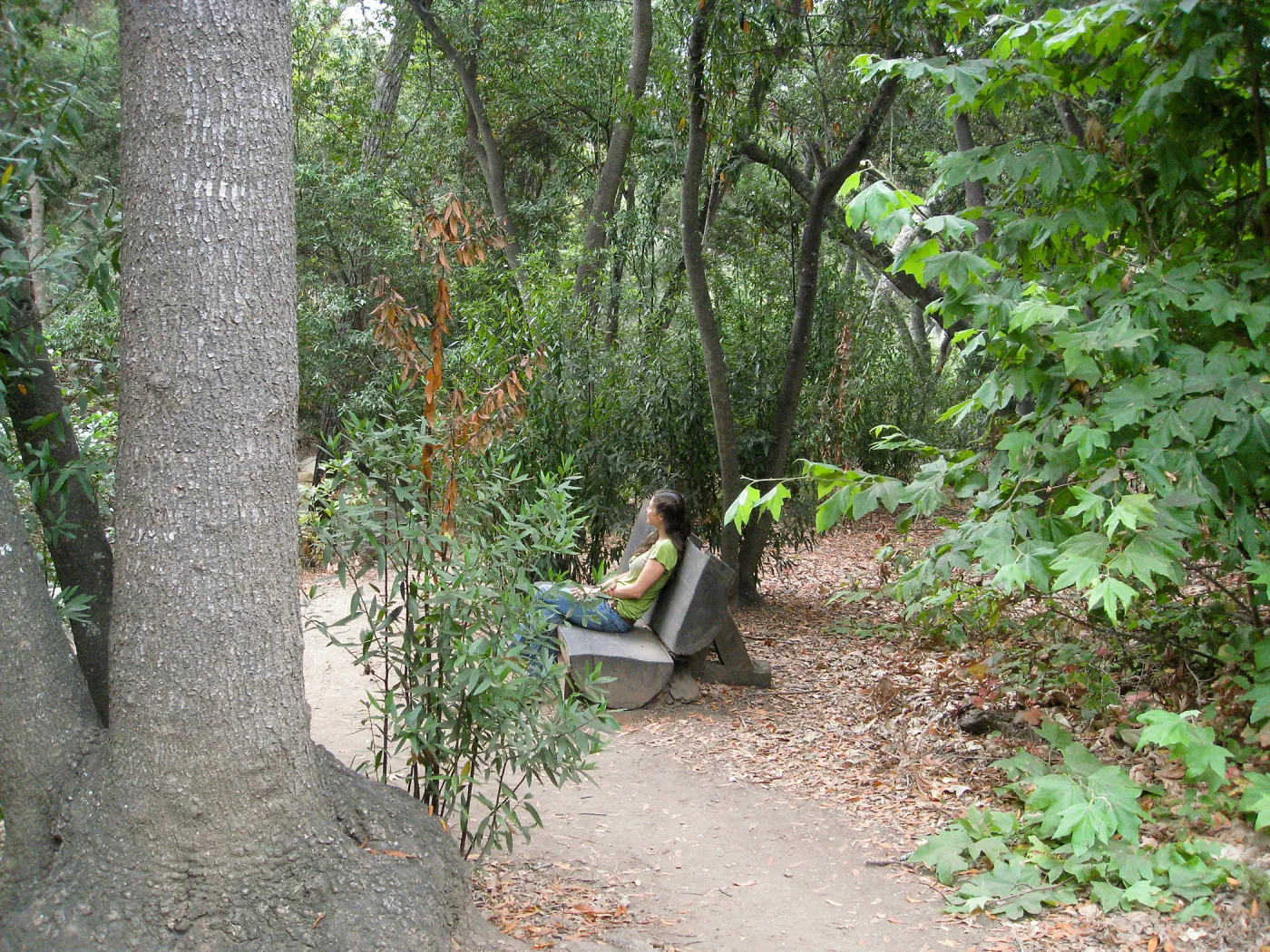 Ford Bench