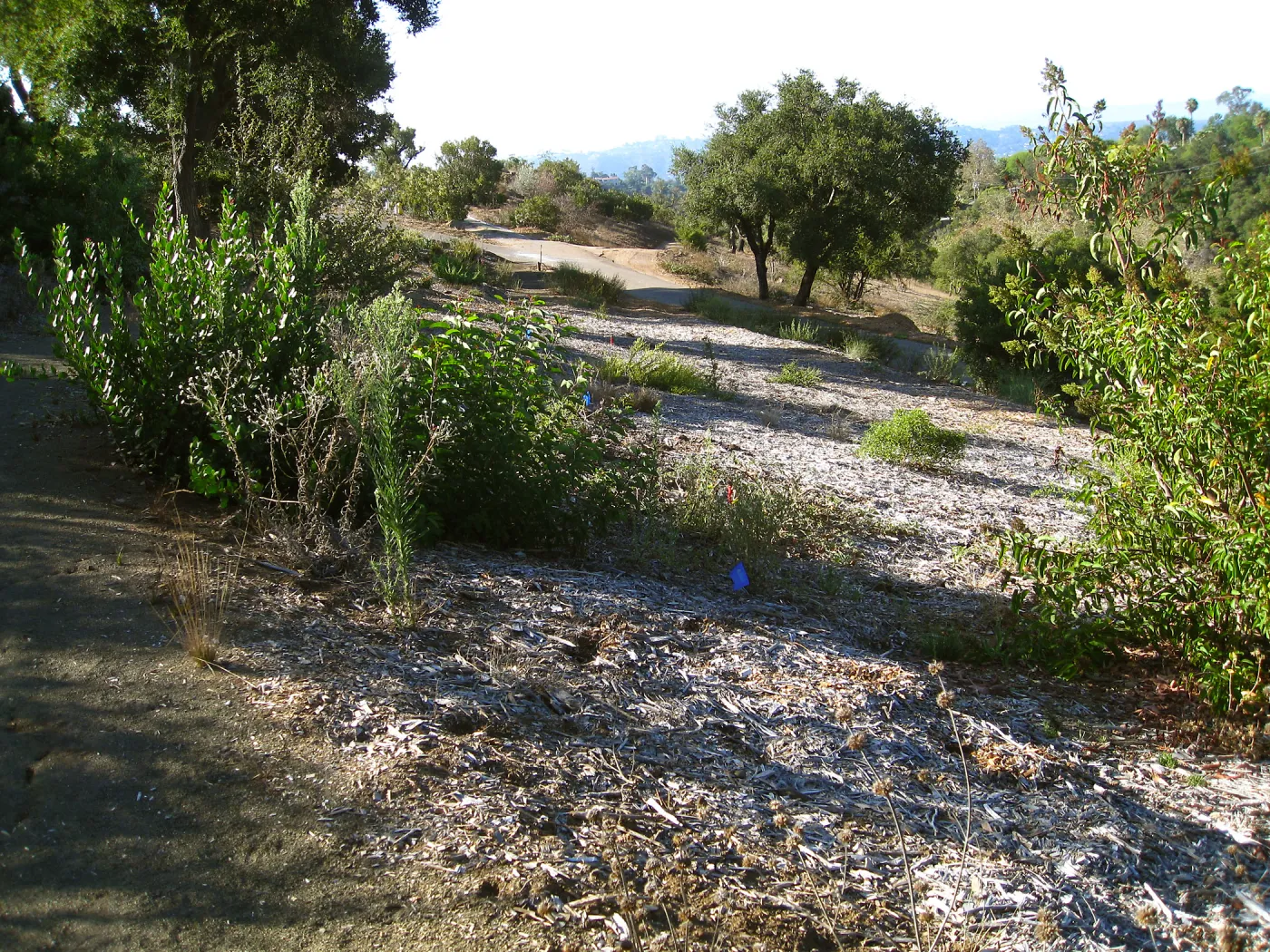 SW Trail