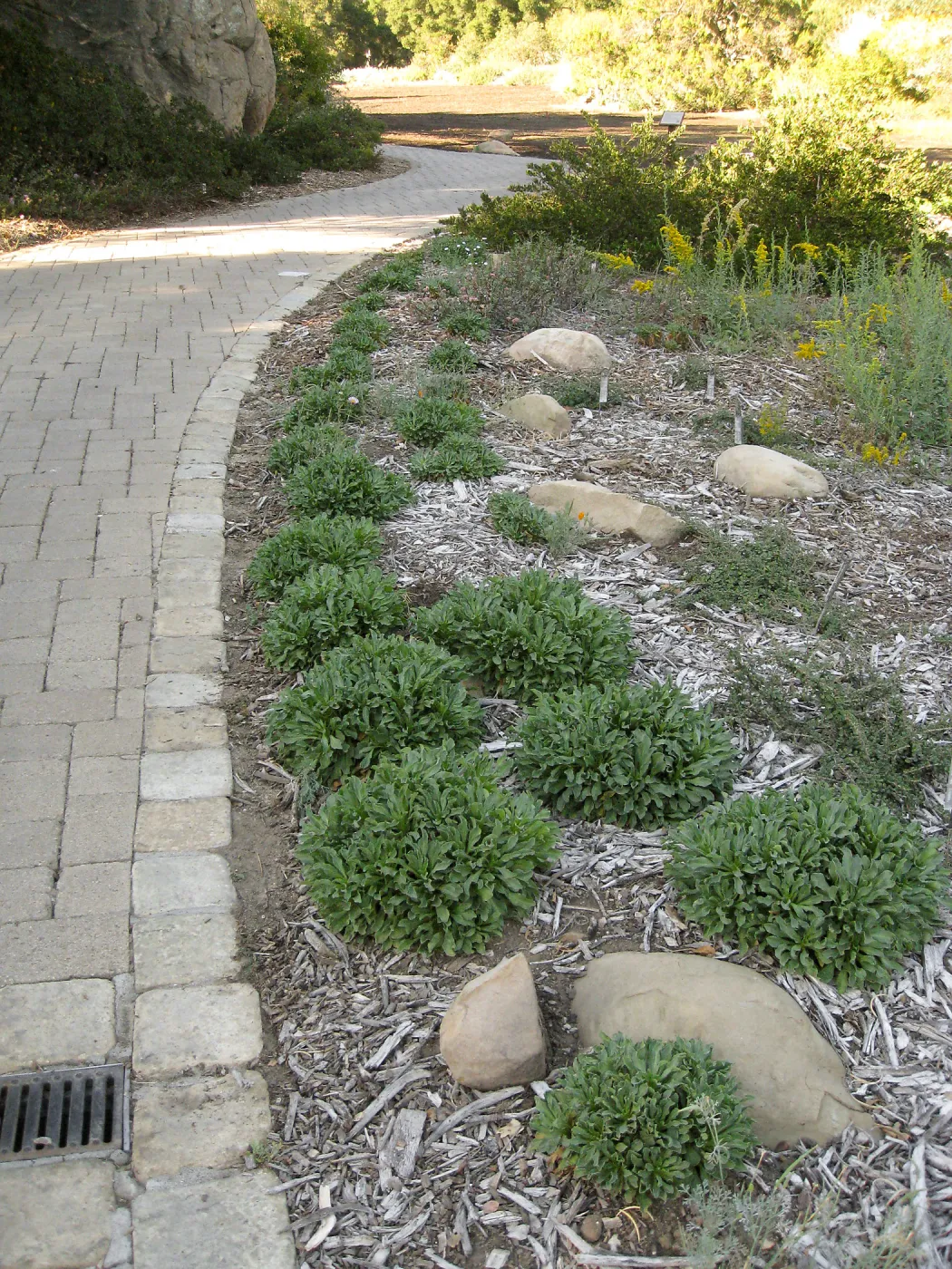Ground Cover Display