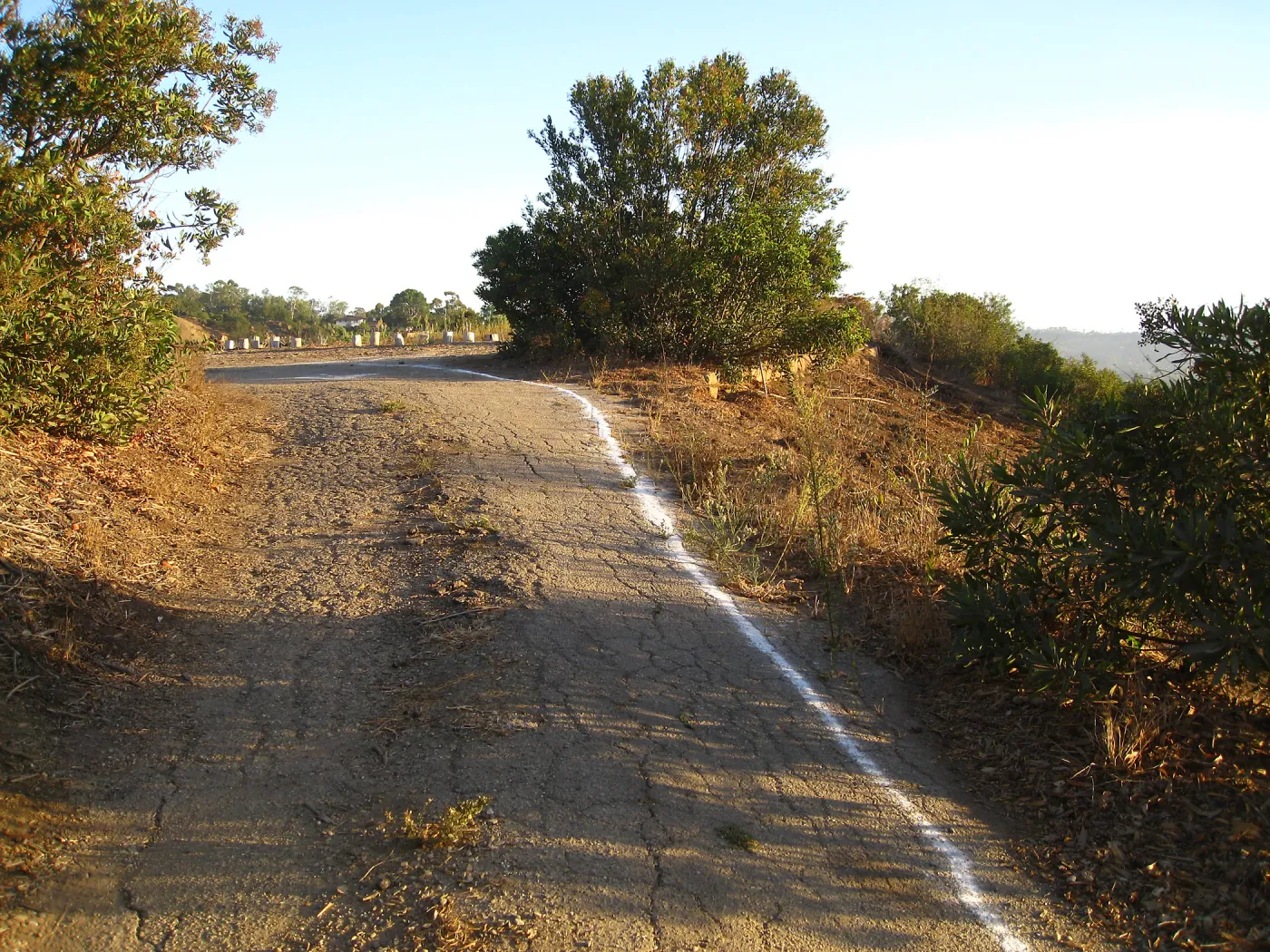East side driveway looking up towards the Gane House site