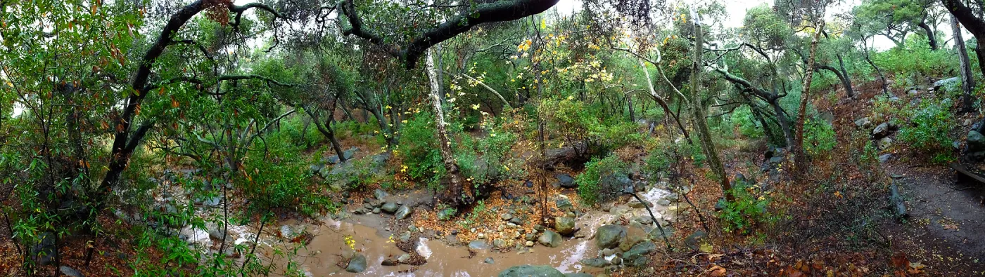 Panorama of Canyon and Mission Creek just above lower crossing, after rainfall