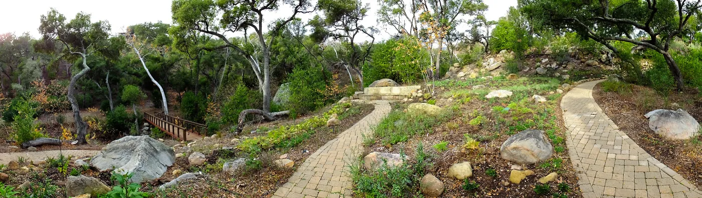 Wooded Dell after completion of main section planting, panorama with Campbell Bridge and Campbell Bench
