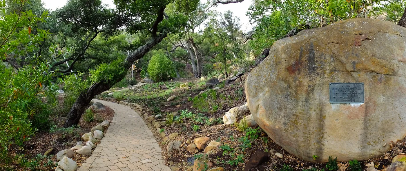 Wooded Dell after completion of main section planting, panoramic view along Campbell Trail