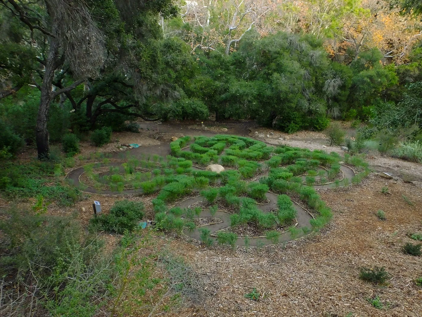 Centennial Maze