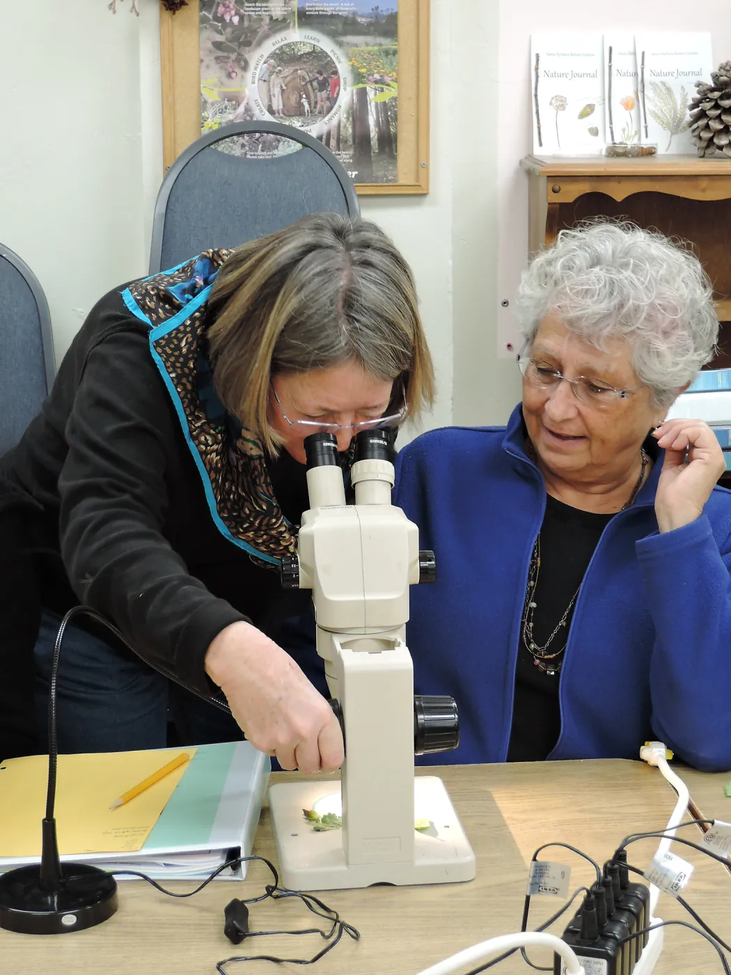 Docent Training