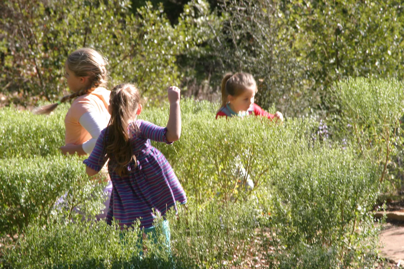 Children in the Centennial Maze