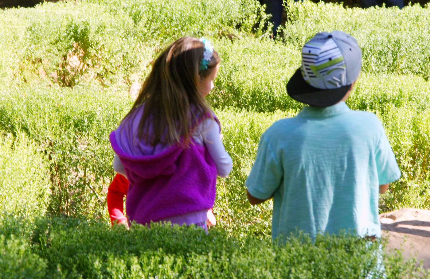 Children in the Centennial Maze