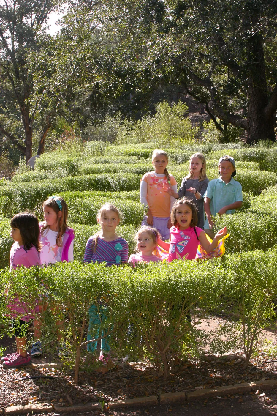 Children in the Centennial Maze