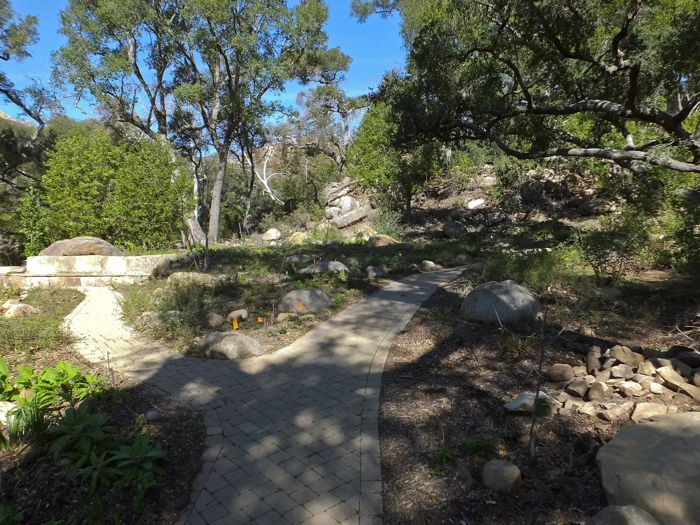 Wooded Dell