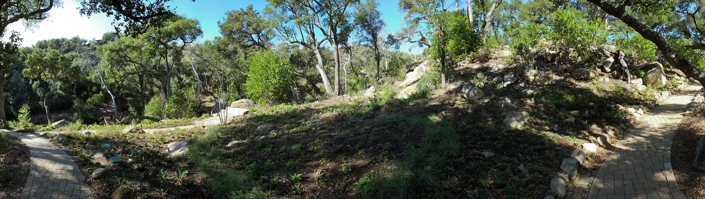 Wooded Dell