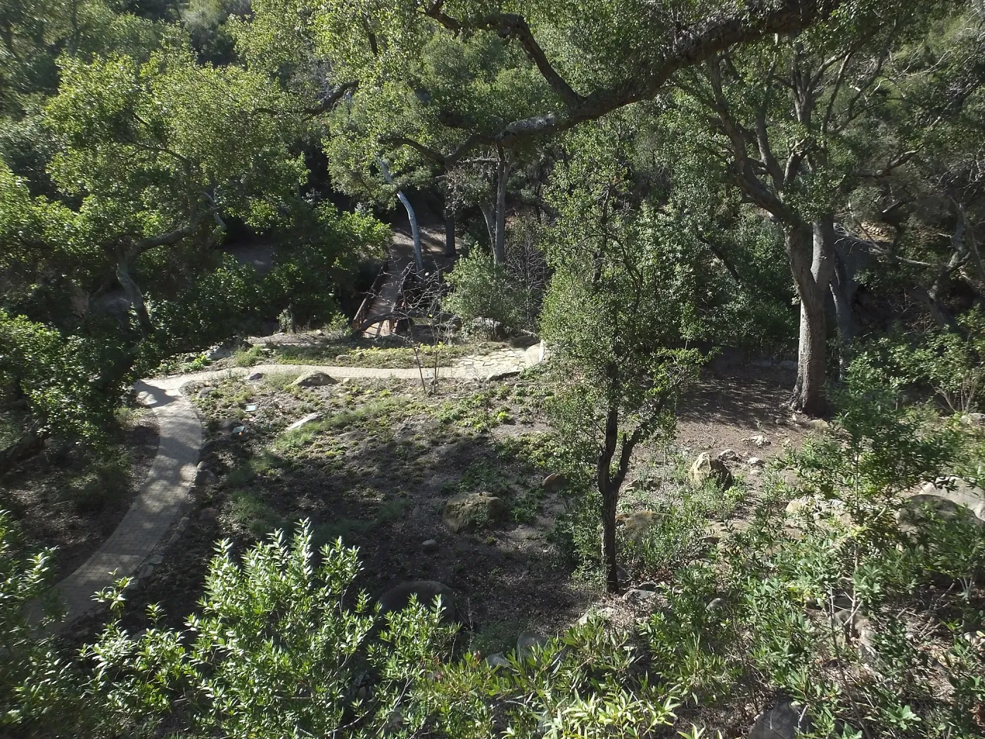 Wooded Dell