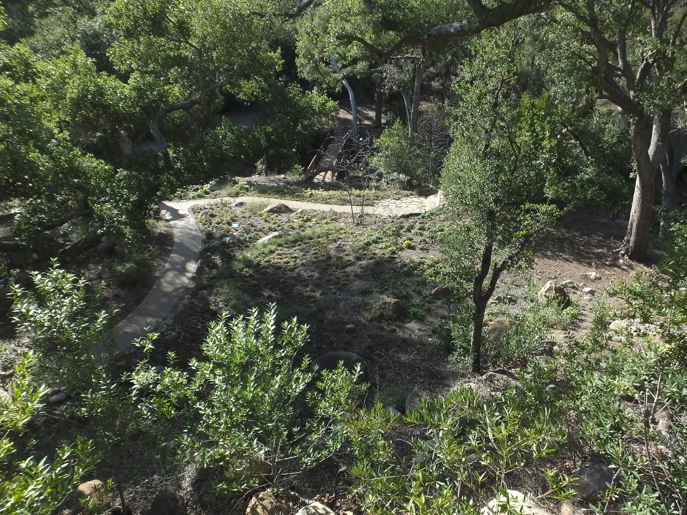 Wooded Dell