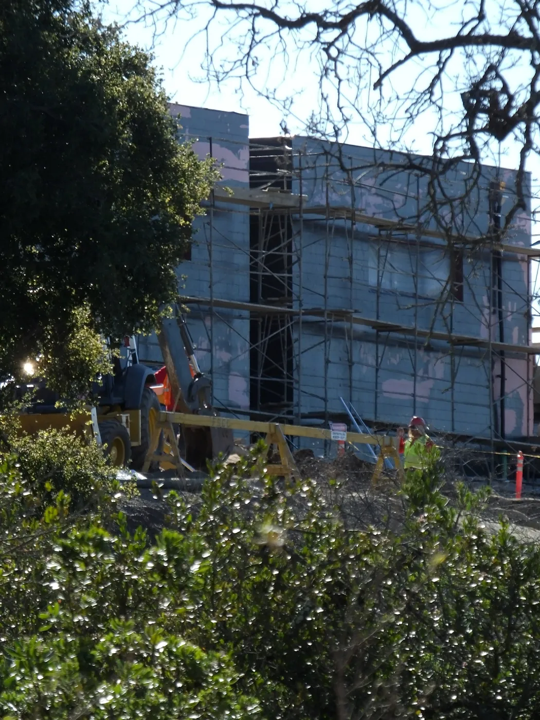 Future location of two Island Oaks, flanking the entrance to the new Island Section at the Pritzlaff Conservation Center