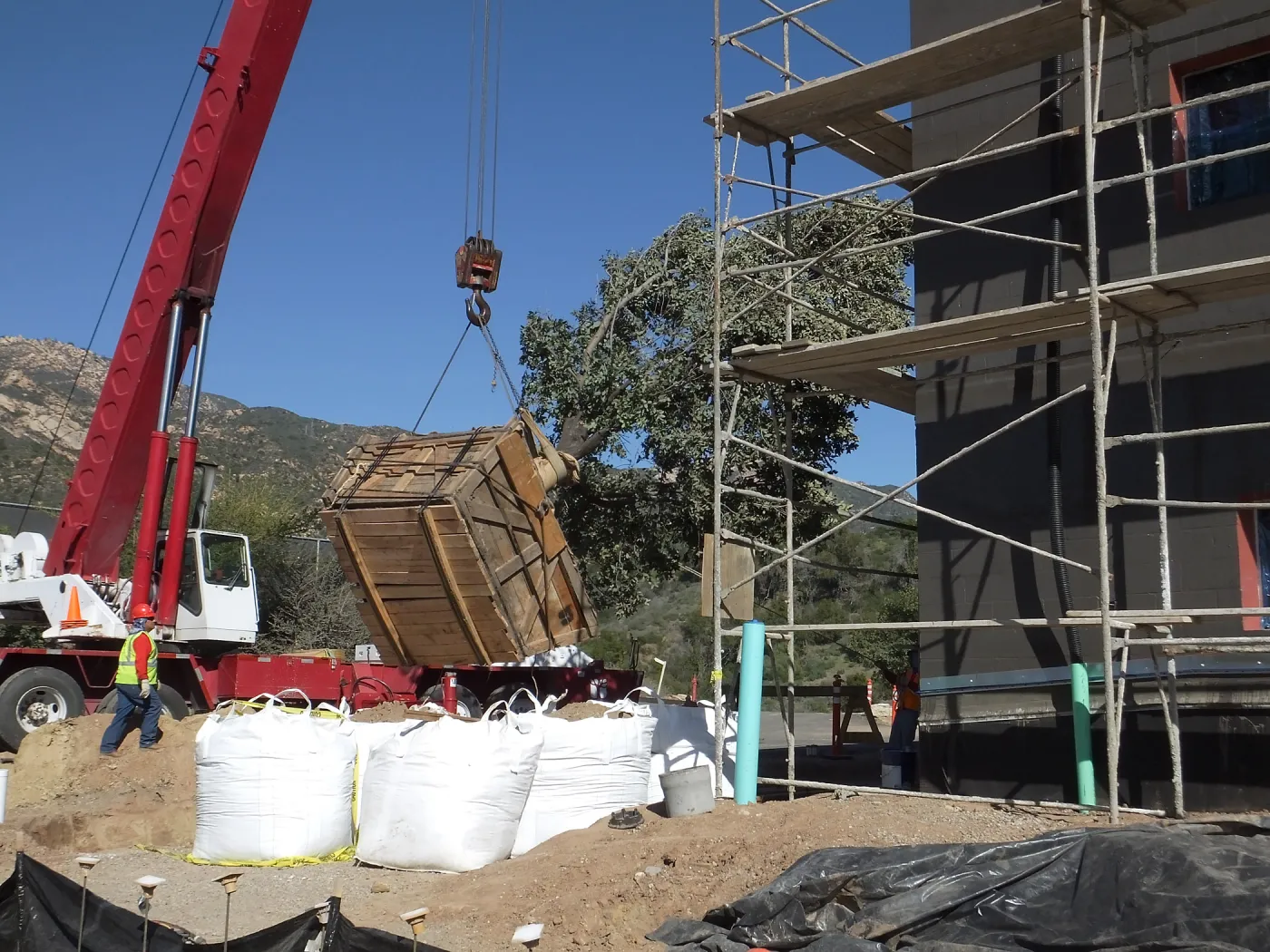 Installation of Island Oaks, flanking the entrance to the new Island Section at the Pritzlaff Conservation Center