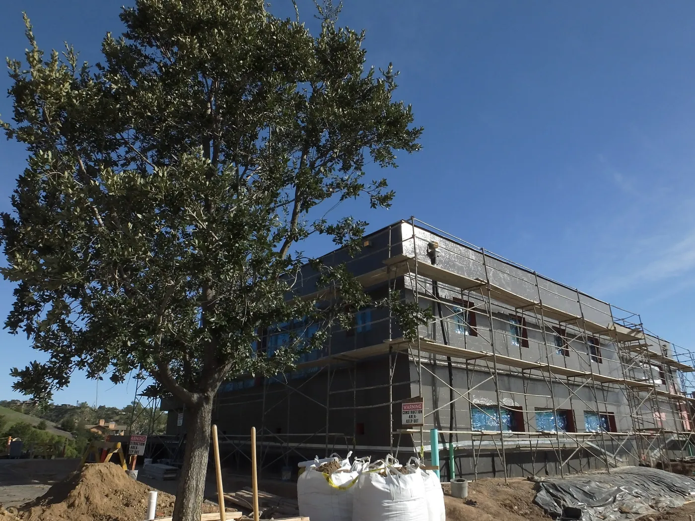 Installation of Island Oaks, flanking the entrance to the new Island Section at the Pritzlaff Conservation Center