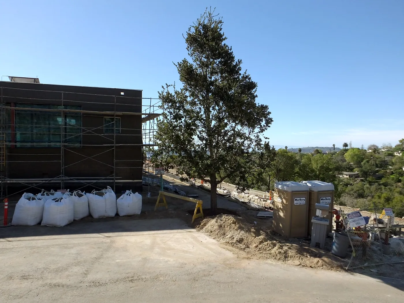 After installation of Island Oaks, flanking the entrance to the new Island Section at the Pritzlaff Conservation Center