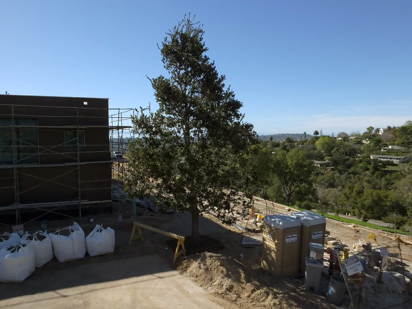 After installation of Island Oaks, flanking the entrance to the new Island Section at the Pritzlaff Conservation Center