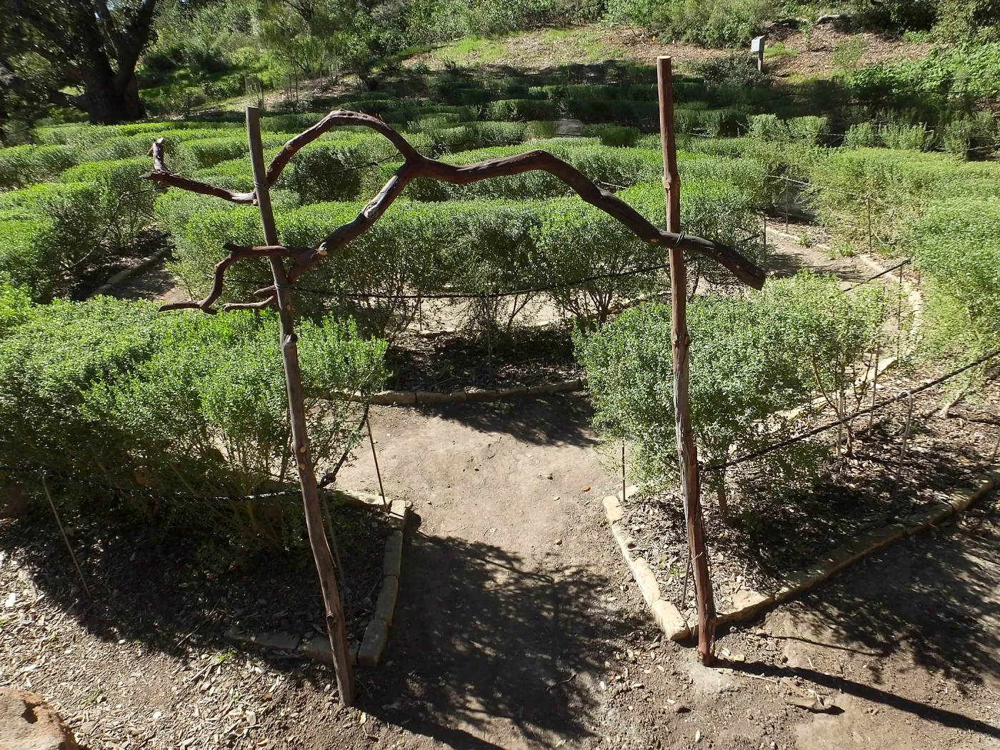 Entry Arch, Centennial Maze